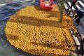 Maschseefest   524